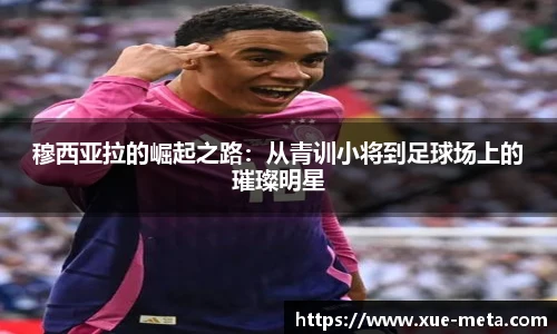 今年会官方网站